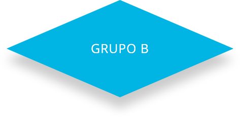Grupo B